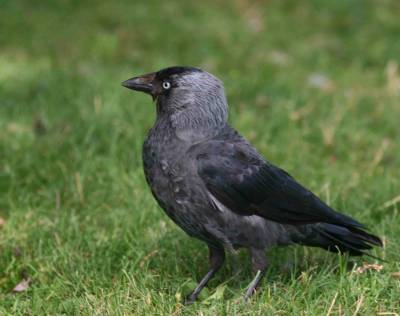 &Sigma;&upsilon;&nu;&epsilon;&chi;ί&zeta;&epsilon;&tau;&alpha;&iota; &mu;&epsilon; &epsilon;&pi;&iota;&tau;&upsilon;&chi;ί&alpha; &tau;&omicron; &pi;&rho;ό&gamma;&rho;&alpha;&mu;&mu;&alpha; &epsilon;&lambda;έ&gamma;&chi;&omicron;&upsilon; &tau;&omega;&nu; &kappa;&omicron;&rho;&alpha;&kappa;&omicron;&epsilon;&iota;&delta;ώ&nu; &sigma;&tau;&eta; &Lambda;ή&mu;&nu;&omicron;