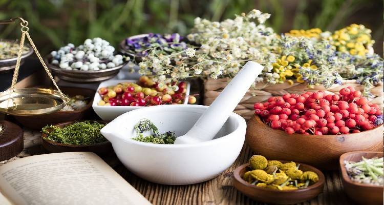 &Epsilon;&lambda;&lambda;&eta;&nu;&iota;&kappa;ά &beta;ό&tau;&alpha;&nu;&alpha;: &Tau;&alpha; &mu;&alpha;&nu;&tau;&zeta;&omicron;ύ&nu;&iota;&alpha; &pi;&omicron;&upsilon; &mu;&alpha;&sigmaf; &kappa;ά&nu;&omicron;&upsilon;&nu; &kappa;&alpha;&lambda;ά