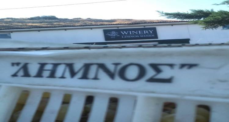 Ξεκινάει η συγκέντρωση τσαμπανάρας από την «Ένωση» Λήμνου