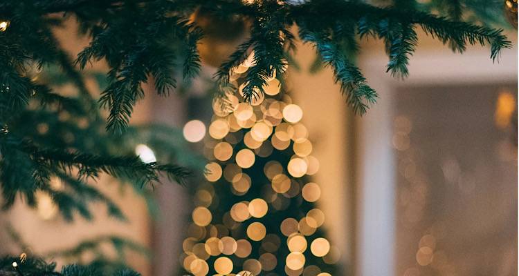 Λήμνος: Φωταγωγείται το Σάββατο 3/12 το χριστουγεννιάτικο δέντρο του Βάρους