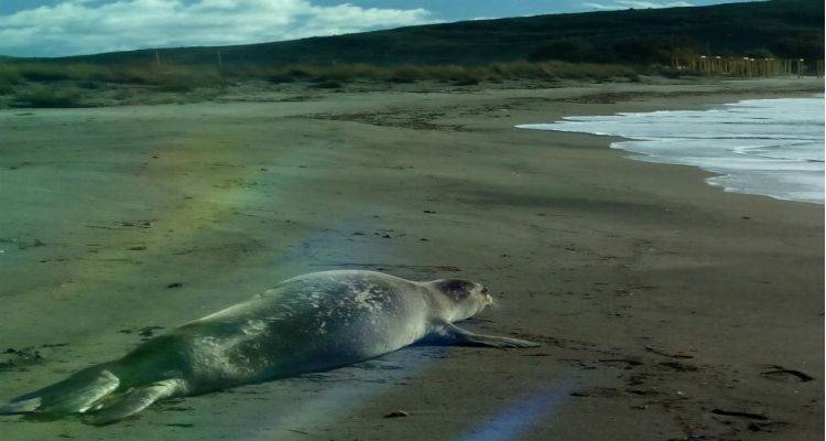 &Phi;ώ&kappa;&iota;&alpha; &sigma;&tau;&eta;&nu; &pi;&alpha;&rho;&alpha;&lambda;ί&alpha; &tau;&omicron;&upsilon; &Epsilon;&beta;&gamma;ά&tau;&eta; (photo)