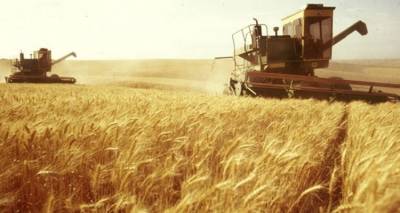 erxetai-stin-atsiki-i-giorti-tou-agroti