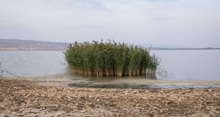 &Nu;έ&omicron; &epsilon;&upsilon;&rho;&omega;&pi;&alpha;ϊ&kappa;ό &mu;&omicron;&nu;&tau;έ&lambda;&omicron; &gamma;&iota;&alpha; &tau;&eta; &delta;&iota;&alpha;&chi;&epsilon;ί&rho;&iota;&sigma;&eta; &tau;&omega;&nu; &pi;&rho;&omicron;&sigma;&tau;&alpha;&tau;&epsilon;&upsilon;ό&mu;&epsilon;&nu;&omega;&nu; &pi;&epsilon;&rho;&iota;&omicron;&chi;ώ&nu; &tau;&eta;&sigmaf; &Epsilon;&lambda;&lambda;ά&delta;&alpha;&sigmaf;
