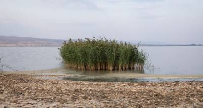 &Nu;έ&omicron; &epsilon;&upsilon;&rho;&omega;&pi;&alpha;ϊ&kappa;ό &mu;&omicron;&nu;&tau;έ&lambda;&omicron; &gamma;&iota;&alpha; &tau;&eta; &delta;&iota;&alpha;&chi;&epsilon;ί&rho;&iota;&sigma;&eta; &tau;&omega;&nu; &pi;&rho;&omicron;&sigma;&tau;&alpha;&tau;&epsilon;&upsilon;ό&mu;&epsilon;&nu;&omega;&nu; &pi;&epsilon;&rho;&iota;&omicron;&chi;ώ&nu; &tau;&eta;&sigmaf; &Epsilon;&lambda;&lambda;ά&delta;&alpha;&sigmaf;