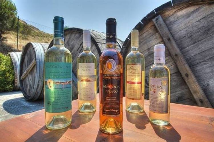 &Tau;&alpha; &alpha;&pi;&omicron;&tau;&epsilon;&lambda;έ&sigma;&mu;&alpha;&tau;&alpha; &tau;&omega;&nu; &pi;&rho;ώ&tau;&omega;&nu; &epsilon;&kappa;&lambda;&omicron;&gamma;ώ&nu; &tau;&eta;&sigmaf;  &nu;έ&alpha;&sigmaf; Έ&nu;&omega;&sigma;&eta;&sigmaf; &Lambda;ή&mu;&nu;&omicron;&upsilon;  (mp3)