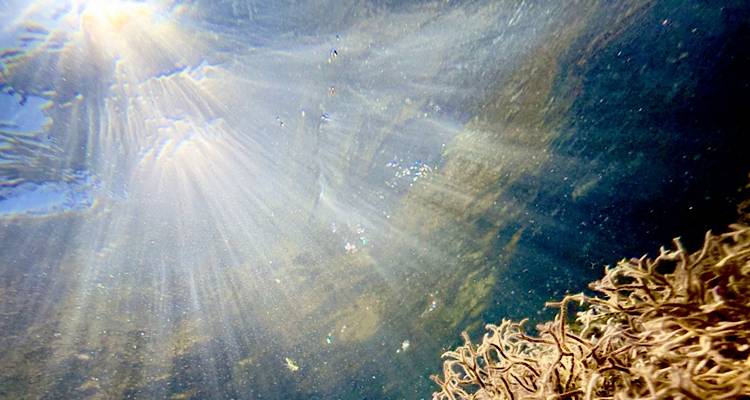 «Υποβρύχια Λήμνος» στον φακό της Claudia Sherwood | Έκθεση στο «Ώχρα Μπλε»