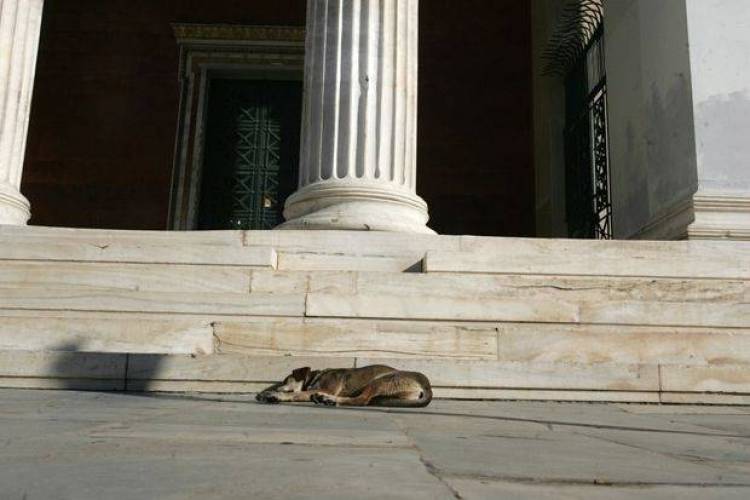 Πανεπιστήμιο ή γηροκομείο;