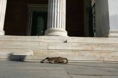 Πανεπιστήμιο ή γηροκομείο;