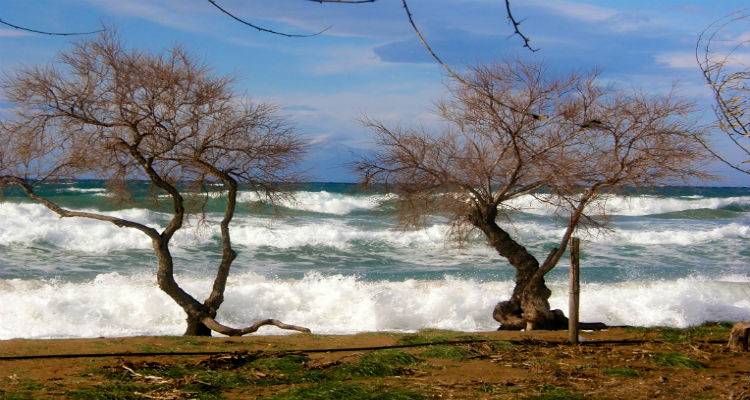 &Epsilon;&kappa;&tau;&alpha;&kappa;&tau;&omicron; &delta;&epsilon;&lambda;&tau;ί&omicron; &epsilon;&pi;&iota;&delta;&epsilon;ί&nu;&omega;&sigma;&eta;&sigmaf; &kappa;&alpha;&iota;&rho;&omicron;ύ | &Sigma;&alpha;&beta;&beta;&alpha;&tau;&omicron;&kappa;ύ&rho;&iota;&alpha;&kappa;&omicron; &mu;&epsilon; &kappa;&alpha;&tau;&alpha;&iota;&gamma;ί&delta;&epsilon;&sigmaf;, &chi;&alpha;&lambda;ά&zeta;&iota; &kappa;&alpha;&iota; &iota;&sigma;&chi;&upsilon;&rho;&omicron;ύ&sigmaf; &alpha;&nu;έ&mu;&omicron;&upsilon;&sigmaf;