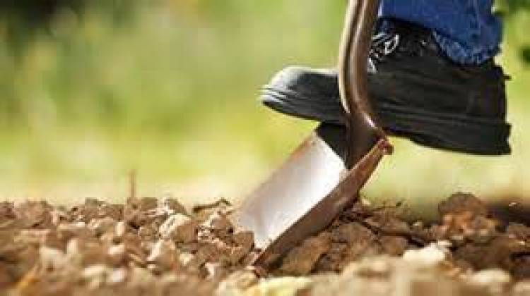 «Δε φυτρώνει τίποτις επαέ»