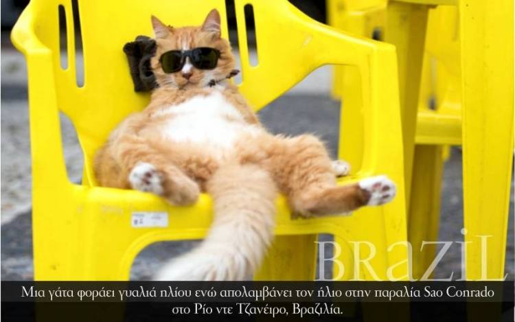 Brazil