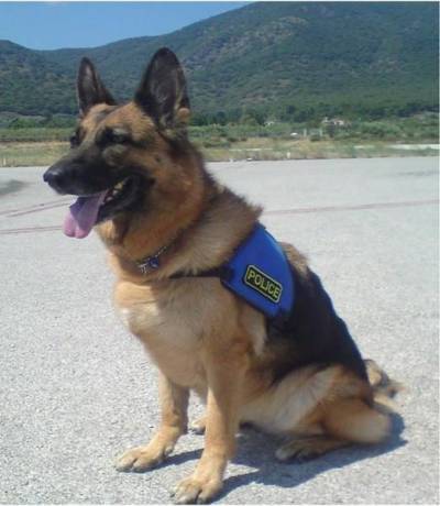 Έ&phi;&upsilon;&gamma;&epsilon; &alpha;&pi;ό &tau;&eta; &zeta;&omega;ή &eta; &laquo;Mira&raquo; - &omicron; &alpha;&sigma;&tau;&upsilon;&nu;&omicron;&mu;&iota;&kappa;ό&sigmaf; &sigma;&kappa;ύ&lambda;&omicron;&sigmaf; &tau;&eta;&sigmaf; &Omicron;&mu;ά&delta;&alpha;&sigmaf; &Epsilon;&xi;&omicron;&upsilon;&delta;&epsilon;&tau;έ&rho;&omega;&sigma;&eta;&sigmaf; &Epsilon;&kappa;&rho;&eta;&kappa;&tau;&iota;&kappa;ώ&nu; &Mu;&eta;&chi;&alpha;&nu;&iota;&sigma;&mu;ώ&nu; &Beta;&Alpha; &Alpha;&iota;&gamma;&alpha;ί&omicron;&upsilon;