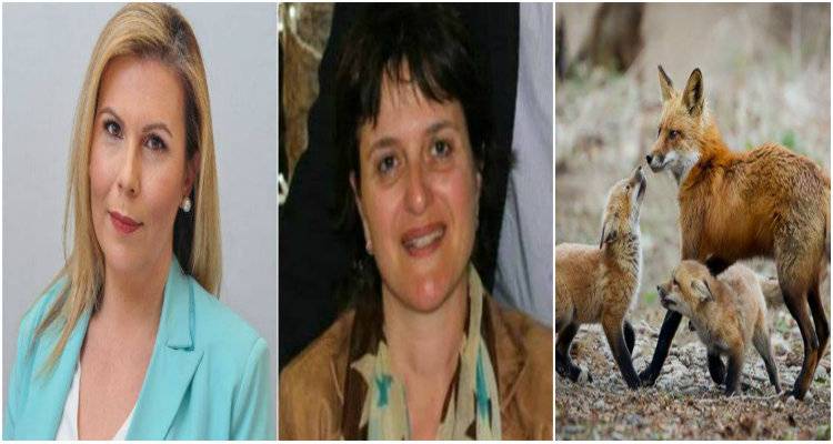 Φωτοπούλου και Σκούρας απαντούν στη Γεώργα