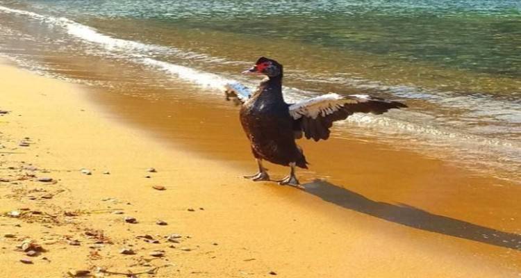 Φωτο: Ράνια Γιαλούρη