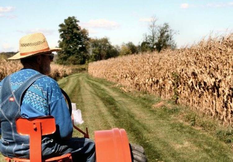 &Epsilon;&rho;ώ&tau;&eta;&sigma;&eta; &beta;&omicron;&upsilon;&lambda;&epsilon;&upsilon;&tau;ώ&nu; &tau;&omicron;&upsilon; &Sigma;&Upsilon;&Rho;&Iota;&Zeta;&Alpha; &gamma;&iota;&alpha; &tau;&eta;&nu; &pi;&alpha;&rho;&alpha;&kappa;&rho;ά&tau;&eta;&sigma;&eta; &epsilon;&pi;&iota;&sigma;&tau;&rho;&omicron;&phi;ή&sigmaf; &Phi;&Pi;&Alpha; &sigma;&tau;&omicron;&upsilon;&sigmaf; &alpha;&gamma;&rho;ό&tau;&epsilon;&sigmaf;