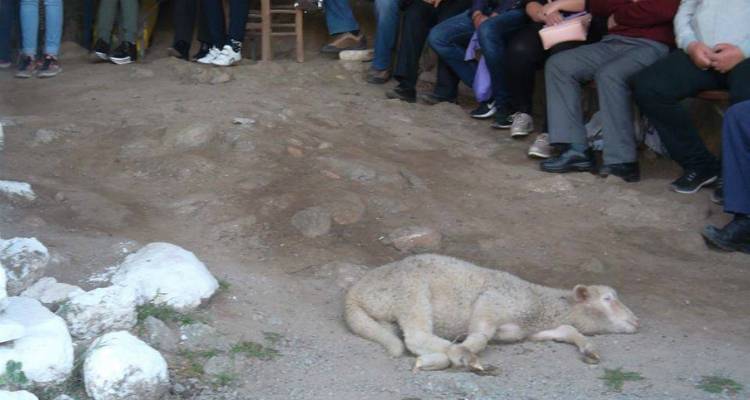 Τέλος το έθιμο με το ζώο στη Λειτουργία της Λαμπροτρίτης στην Παναγία την Κακαβιώτισσα (photo)