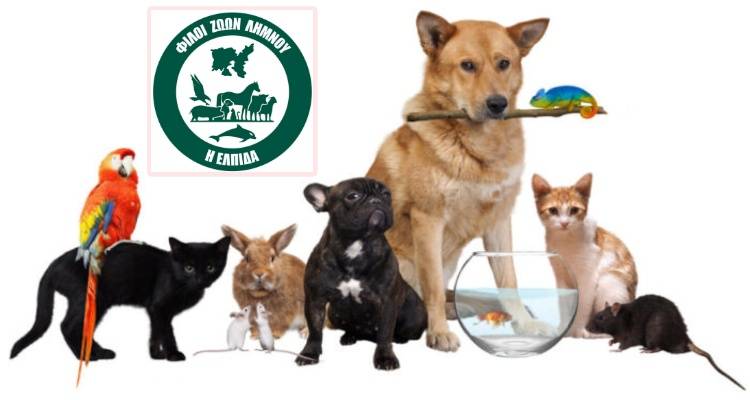 &Eta; &Lambda;ή&mu;&nu;&omicron;&sigmaf; &alpha;&pi;έ&kappa;&tau;&eta;&sigma;&epsilon; &tau;&eta;&nu; Έ&nu;&omega;&sigma;&eta; &pi;&rho;&omicron;&sigma;ώ&pi;&omega;&nu; "&Phi;ί&lambda;&omicron;&iota; &Zeta;ώ&omega;&nu; &Lambda;ή&mu;&nu;&omicron;&upsilon; &eta; &Epsilon;&lambda;&pi;ί&delta;&alpha; | Animal Friends of Limnos Hope"