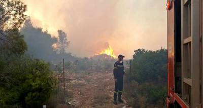 &Phi;&lambda;έ&gamma;&epsilon;&tau;&alpha;&iota; &eta; &Zeta;ά&kappa;&upsilon;&nu;&theta;&omicron;&sigmaf; -&Epsilon;&phi;&iota;&alpha;&lambda;&tau;&iota;&kappa;ή &nu;ύ&chi;&tau;&alpha;, &omicron;&iota; &phi;&lambda;ό&gamma;&epsilon;&sigmaf; έ&phi;&tau;&alpha;&sigma;&alpha;&nu; έ&xi;&omega; &alpha;&pi;ό &chi;&omega;&rho;&iota;ό