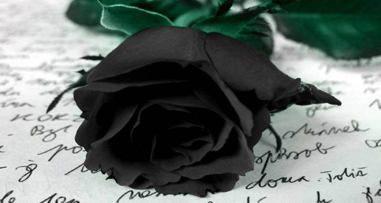 Συλλυπητήριο μήνυμα από το Κέντρο Κοινότητας του Δήμου Λήμνου