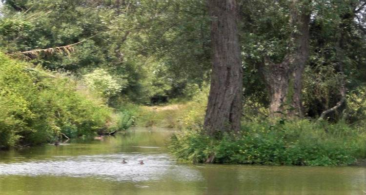 &Mu;&alpha;&gamma;&epsilon;&upsilon;&tau;&iota;&kappa;έ&sigmaf; &epsilon;&iota;&kappa;ό&nu;&epsilon;&sigmaf; &alpha;&pi;ό &tau;&omicron; &Kappa;&tau;ή&mu;&alpha; &tau;&eta;&sigmaf; &Mu;&eta;&tau;&rho;ό&pi;&omicron;&lambda;&eta;&sigmaf; | &Kappa;&iota; ό&mu;&omega;&sigmaf; &omicron; "&pi;&alpha;&rho;ά&delta;&epsilon;&iota;&sigma;&omicron;&sigmaf;" &alpha;&upsilon;&tau;ό&sigmaf; &beta;&rho;ί&sigma;&kappa;&epsilon;&tau;&alpha;&iota; &sigma;&tau;&eta; &Lambda;ή&mu;&nu;&omicron; (photos)