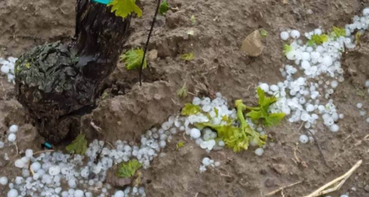 Λήμνος: Ανακοίνωση ΕΛΓΑ για χαλάζι