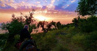 &Tau;&omicron; Ά&gamma;&iota;&omicron; ό&rho;&omicron;&sigmaf; &delta;&iota;&epsilon;&kappa;&delta;&iota;&kappa;&epsilon;ί &tau;&eta;&nu; &Alpha;&mu;&phi;ί&pi;&omicron;&lambda;&eta;