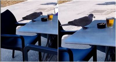 &Rho;&epsilon;&pi;&alpha;&nu;ί&delta;&iota;: &Kappa;&alpha;&phi;&epsilon;&nu;&epsilon;ί&omicron; &kappa;&alpha;&iota; &gamma;&iota;&alpha;... &phi;&tau;&epsilon;&rho;&omega;&tau;&omicron;ύ&sigmaf; &theta;&alpha;&mu;ώ&nu;&epsilon;&sigmaf;!