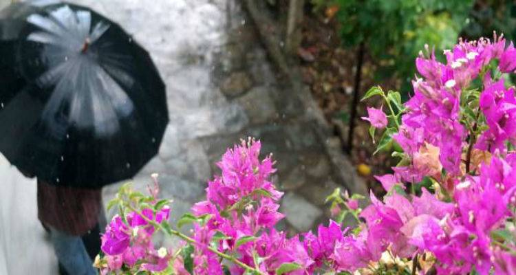 &Kappa;&alpha;&tau;&alpha;&iota;&gamma;ί&delta;&epsilon;&sigmaf; &kappa;&alpha;&iota; ά&nu;&epsilon;&mu;&omicron;&iota; | &Pi;&omicron;ύ &theta;&alpha; &epsilon;ί&nu;&alpha;&iota; έ&nu;&tau;&omicron;&nu;&alpha; &tau;&alpha; &phi;&alpha;&iota;&nu;ό&mu;&epsilon;&nu;&alpha;