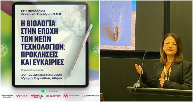 &Pi;&alpha;&lambda;&lambda;&eta;&mu;&nu;&iota;&alpha;&kappa;ό &Tau;&alpha;&mu;&epsilon;ί&omicron;: &Sigma;&tau;&omicron;14&omicron; &Pi;&alpha;&nu;&epsilon;&lambda;&lambda;ή&nu;&iota;&omicron; &Gamma;&epsilon;&nu;&iota;&kappa;ό &Sigma;&upsilon;&nu;έ&delta;&rho;&iota;&omicron; &tau;&eta;&sigmaf; &Pi;&alpha;&nu;&epsilon;&lambda;&lambda;ή&nu;&iota;&alpha;&sigmaf; Έ&nu;&omega;&sigma;&eta;&sigmaf; &Beta;&iota;&omicron;&epsilon;&pi;&iota;&sigma;&tau;&eta;&mu;ό&nu;&omega;&nu; &mu;&epsilon; &tau;&omicron;&nu; &ldquo;&sigma;&kappa;&lambda;&eta;&rho;ό &sigma;ί&tau;&omicron;&rdquo; &tau;&eta;&sigmaf; &Lambda;ή&mu;&nu;&omicron;&upsilon;