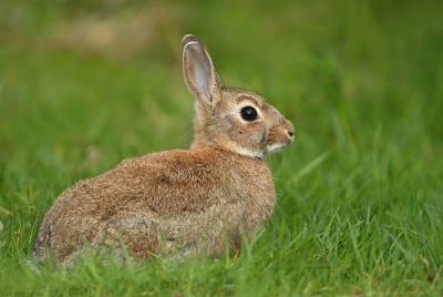&Pi;&rho;&alpha;&gamma;&mu;&alpha;&tau;&omicron;&pi;&omicron;&iota;ή&theta;&eta;&kappa;&epsilon; &eta; &pi;&rho;ώ&tau;&eta; &sigma;&upsilon;&nu;ά&nu;&tau;&eta;&sigma;&eta; &tau;&eta;&sigmaf; &epsilon;&pi;&iota;&tau;&rho;&omicron;&pi;ή&sigmaf; &gamma;&iota;&alpha; &tau;&eta;&nu; &alpha;&nu;&tau;&iota;&mu;&epsilon;&tau;ώ&pi;&iota;&sigma;&eta; &tau;&omega;&nu; &alpha;&gamma;&rho;&iota;&omicron;&kappa;&omicron;ύ&nu;&epsilon;&lambda;&omega;&nu; &tau;&eta;&sigmaf; &Lambda;ή&mu;&nu;&omicron;&upsilon; (mp3)