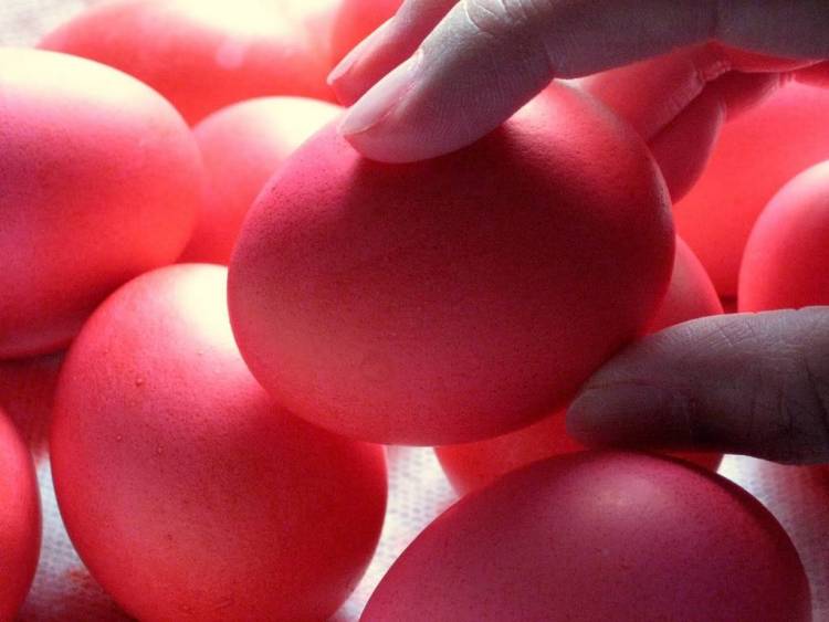 Οδηγίες για τους καταναλωτές ενόψει εορτών του Πάσχα