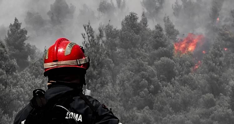 Φωτιά στα Βίλια: Κάηκαν σπίτια στον οικισμό Προφήτης Ηλίας -«Δύσκολη εστία», 21 εναέρια μέσα στη μάχη με τις φλόγες