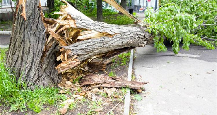 Φωτογραφία αρχείου   
