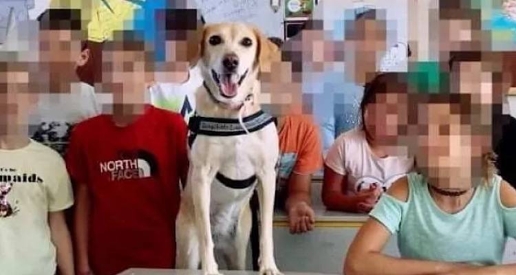 &laquo;&Nu;&Epsilon;&Mu;&Epsilon;&Sigma;&Iota;&Sigma;&raquo;: &Tau;&iota; &gamma;ί&nu;&epsilon;&tau;&alpha;&iota; &mu;&epsilon; &tau;&eta; &phi;&iota;&lambda;&omicron;&zeta;&omega;ί&alpha; &sigma;&tau;&alpha; &sigma;&chi;&omicron;&lambda;&epsilon;ί&alpha;;