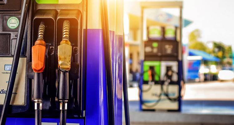 &Tau;έ&lambda;&omicron;&sigmaf; &sigma;&tau;&eta;&nu; &alpha;&pi;&epsilon;&rho;&gamma;ί&alpha; &tau;&omega;&nu; &pi;&rho;&alpha;&tau;&eta;&rho;ί&omega;&nu; &sigma;&tau;&eta; &Lambda;έ&sigma;&beta;&omicron; &mu;&epsilon;&tau;ά &tau;&eta; &sigma;&upsilon;&nu;ά&nu;&tau;&eta;&sigma;&eta; &mu;&epsilon; &Theta;&epsilon;&omicron;&delta;&omega;&rho;&iota;&kappa;ά&kappa;&omicron; | &Alpha;&nu;&alpha;&mu;&omicron;&nu;ή &gamma;&iota;&alpha; &tau;&eta; &sigma;&tau;ά&sigma;&eta; &tau;&eta;&sigmaf; &Lambda;ή&mu;&nu;&omicron;&upsilon;