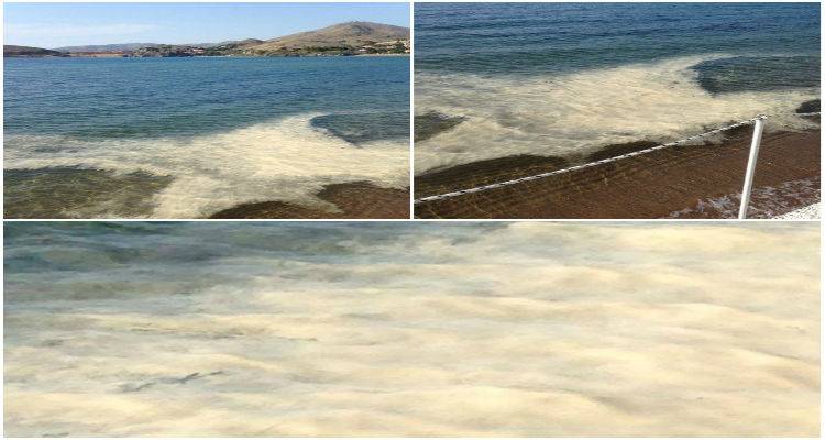 &Kappa;&alpha;&phi;έ &kappa;&eta;&lambda;ί&delta;&epsilon;&sigmaf; &sigma;&tau;&iota;&sigmaf; &pi;&alpha;&rho;&alpha;&lambda;ί&epsilon;&sigmaf; &Nu;έ&alpha;&sigmaf; &Mu;&alpha;&delta;ύ&tau;&omicron;&upsilon; &kappa;&alpha;&iota; &Rho;&omega;&mu;έ&iota;&kappa;&omicron;&upsilon; &tau;&eta;&sigmaf; &Mu;ύ&rho;&iota;&nu;&alpha;&sigmaf; &pi;&rho;&omicron;&kappa;ά&lambda;&epsilon;&sigma;&alpha;&nu; &epsilon;&rho;&omega;&tau;&eta;&mu;&alpha;&tau;&iota;&kappa;ά &sigma;&tau;&omicron;&upsilon;&sigmaf; &kappa;&alpha;&tau;&omicron;ί&kappa;&omicron;&upsilon;&sigmaf; (photos)