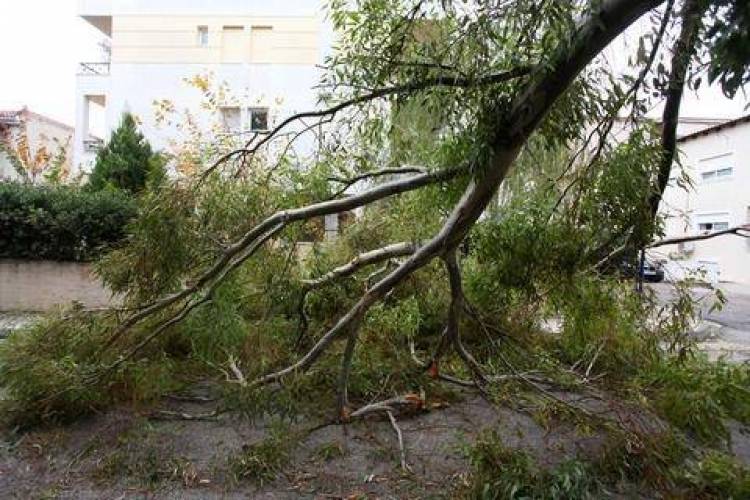&Pi;&rho;&omicron;&beta;&lambda;ή&mu;&alpha;&tau;&alpha; &kappa;&alpha;&iota; &sigma;ή&mu;&epsilon;&rho;&alpha; &alpha;&pi;ό &tau;&eta;&nu; &kappa;&alpha;&kappa;&omicron;&kappa;&alpha;&iota;&rho;ί&alpha;