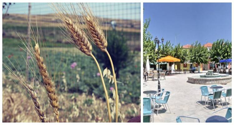 Ατσική: Διήμερη εκδήλωση «Παραγωγή και προώθηση πιστοποιημένων τοπικών προϊόντων – εθελοντικό δίκτυο παραγωγών»