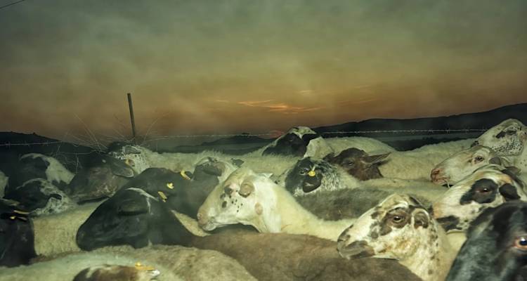 Kournos Music Festival: Συνδέοντας τη μουσική με τη φύση της Λήμνου | Το πρόγραμμα