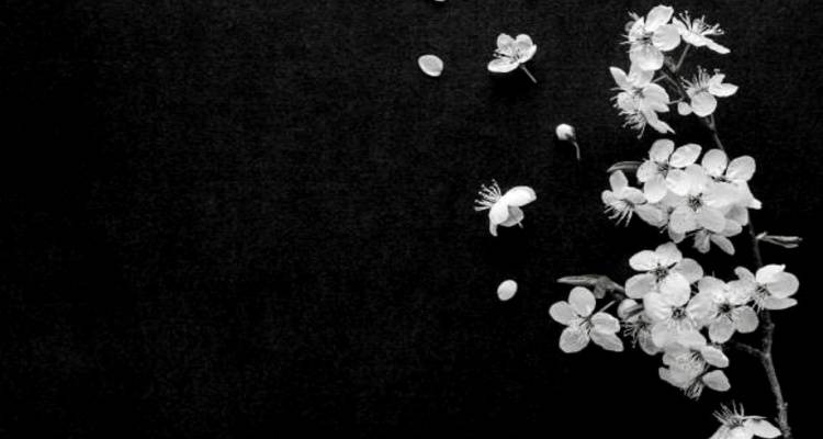 Αύριο η κηδεία του Νίκου Βαββούκου | Η επιθυμία της οικογένειας