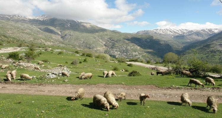 &Pi;&alpha;&rho;ά&tau;&alpha;&sigma;&eta; &gamma;&iota;&alpha; &tau;&omicron;&upsilon;&sigmaf; &pi;&alpha;&rho;&alpha;&gamma;&omega;&gamma;&omicron;ύ&sigmaf;&hellip; &epsilon;&pi;ί&sigma;&pi;&epsilon;&upsilon;&sigma;&eta; &gamma;&iota;&alpha; &tau;&omicron;&upsilon;&sigmaf; &kappa;&tau;&eta;&nu;&omicron;&tau;ό&phi;&omicron;&upsilon;&sigmaf;