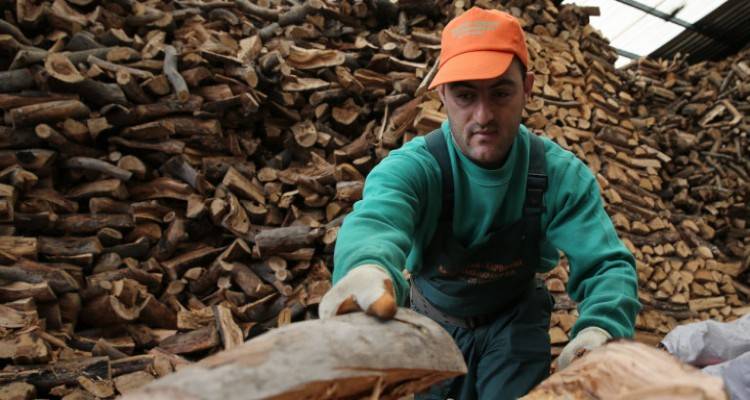 Αλλάζουν όλα στο επίδομα θέρμανσης: Φυσικό αέριο, υγραέριο, ξύλα και πέλετ στην επιδότηση | Καταργούνται οι ζώνες