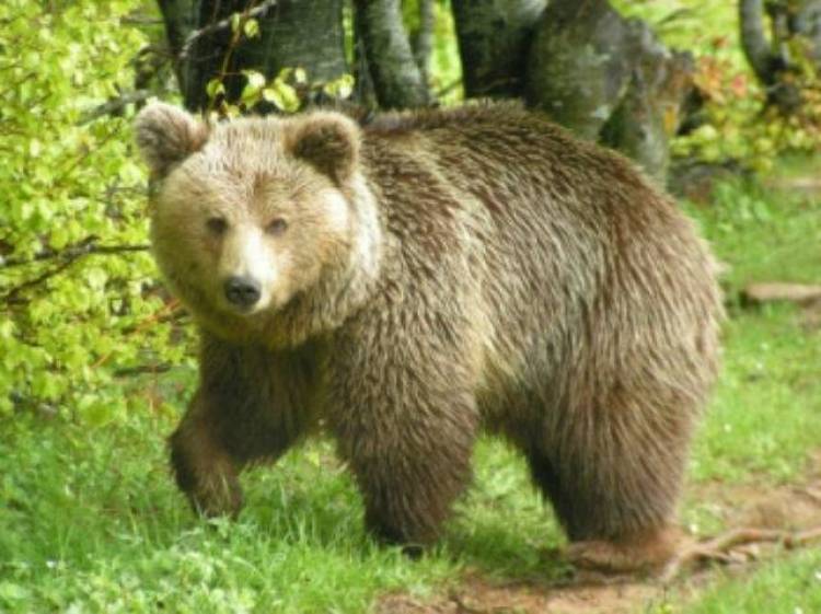 &Sigma;&epsilon; &upsilon;&iota;&omicron;&theta;&epsilon;&sigma;ί&alpha; 2 &alpha;&rho;&kappa;&omicron;ύ&delta;&omega;&nu; &pi;&rho;&omicron;&chi;ώ&rho;&eta;&sigma;&alpha;&nu; &omicron;&iota; &mu;&alpha;&theta;&eta;&tau;έ&sigmaf; &tau;&eta;&sigmaf; &alpha;' &tau;ά&xi;&eta;&sigmaf; &tau;&omicron;&upsilon; 2&omicron;&upsilon; &Delta;&eta;&mu;&omicron;&tau;&iota;&kappa;&omicron;ύ &Sigma;&chi;&omicron;&lambda;&epsilon;ί&omicron;&upsilon; &Mu;ύ&rho;&iota;&nu;&alpha;&sigmaf; (mp3)
