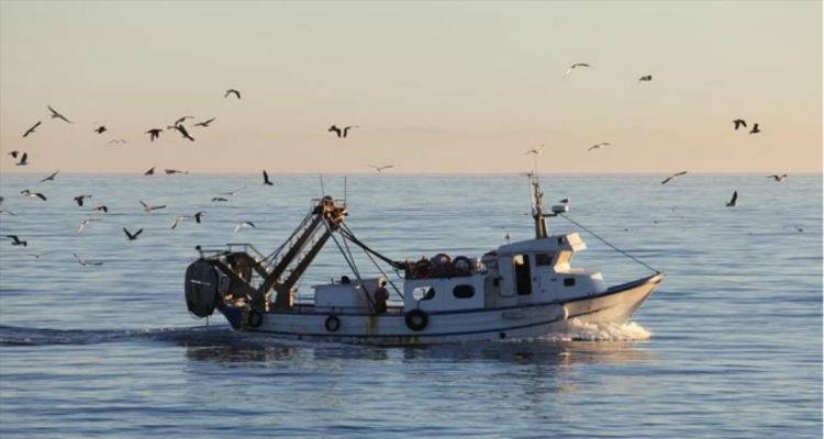 &Sigma;&epsilon; Ί&mu;&iota;&alpha; &kappa;&alpha;&iota; &Kappa;&omega; &sigma;&upsilon;&nu;&epsilon;&chi;ί&sigma;&tau;&eta;&kappa;&alpha;&nu; &omicron;&iota; &pi;&rho;&omicron;&kappa;&lambda;ή&sigma;&epsilon;&iota;&sigmaf; &tau;&omega;&nu; &Tau;&omicron;ύ&rho;&kappa;&omega;&nu; &psi;&alpha;&rho;ά&delta;&omega;&nu; &sigma;&tau;&omicron; &Alpha;&iota;&gamma;&alpha;ί&omicron;