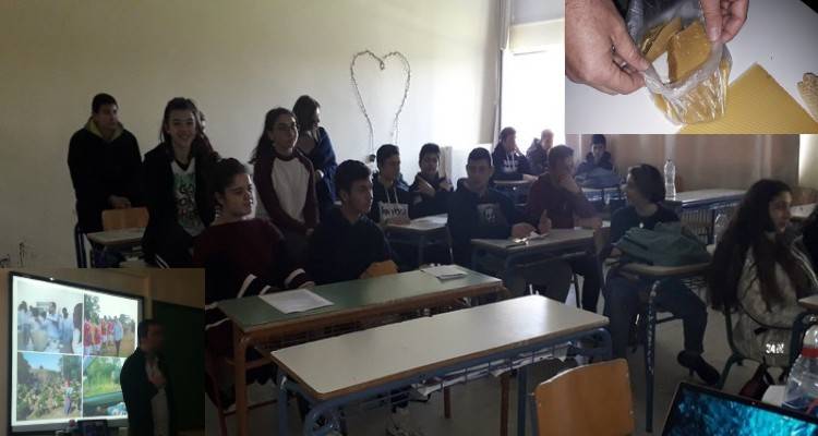 Το μέλι και τα προϊόντα της μέλισσας και το στήσιμο μιας επιχείρησης απασχόλησαν το Γυμνάσιο Μούδρου