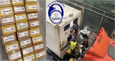 Έ&kappa;&rho;&upsilon;&psi;&alpha;&nu; 56 &kappa;&iota;&lambda;ά &kappa;&omicron;&kappa;&alpha;ΐ&nu;&eta;&sigmaf; &sigma;&epsilon; &gamma;&alpha;&rho;ί&delta;&epsilon;&sigmaf; | &Pi;ά&nu;&omega; &alpha;&pi;ό 1,6 &epsilon;&kappa;&alpha;&tau;&omicron;&mu;&mu;ύ&rho;&iota;&alpha; &epsilon;&upsilon;&rho;ώ &eta; &alpha;&xi;ί&alpha; &tau;&eta;&sigmaf;
