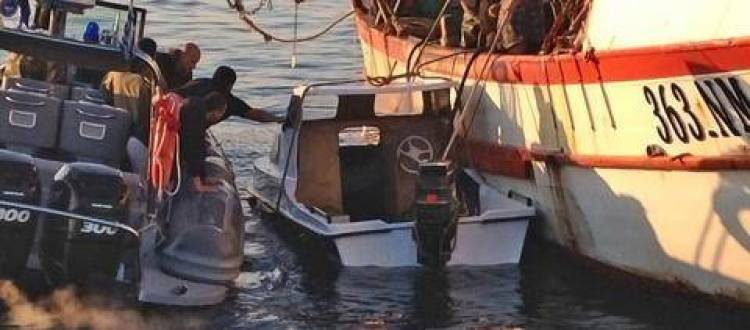 &Mu;&upsilon;&tau;&iota;&lambda;ή&nu;&eta;: &Alpha;&kappa;&alpha;&rho;&pi;&epsilon;&sigmaf; &omicron;&iota; έ&rho;&epsilon;&upsilon;&nu;&epsilon;&sigmaf; &gamma;&iota;&alpha; &tau;&omicron;&nu; &epsilon;&nu;&tau;&omicron;&pi;&iota;&sigma;&mu;ό 2 &alpha;&gamma;&nu;&omicron;&omicron;ύ&mu;&epsilon;&nu;&omega;&nu; &lambda;&alpha;&theta;&rho;&omicron;&mu;&epsilon;&tau;&alpha;&nu;&alpha;&sigma;&tau;ώ&nu;