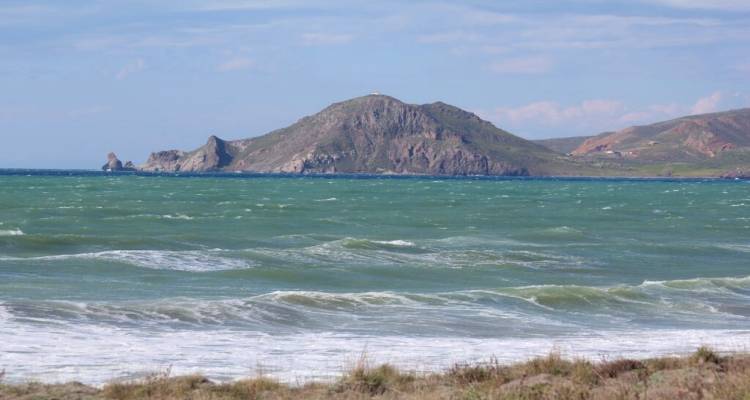 &Pi;&rho;&omicron;&epsilon;&iota;&delta;&omicron;&pi;&omicron;ί&eta;&sigma;&eta; &gamma;&iota;&alpha; &theta;&upsilon;&epsilon;&lambda;&lambda;ώ&delta;&epsilon;&iota;&sigmaf; &alpha;&nu;έ&mu;&omicron;&upsilon;&sigmaf; &sigma;&tau;&omicron; &Beta;&omicron;&rho;&epsilon;&iota;&omicron;&alpha;&nu;&alpha;&tau;&omicron;&lambda;&iota;&kappa;ό &Alpha;&iota;&gamma;&alpha;ί&omicron; | &Sigma;&tau;&omicron; &laquo;&mu;ά&tau;&iota;&raquo; &tau;&eta;&sigmaf; &kappa;&alpha;&kappa;&omicron;&kappa;&alpha;&iota;&rho;ί&alpha;&sigmaf; &eta; &Lambda;ή&mu;&nu;&omicron;&sigmaf;