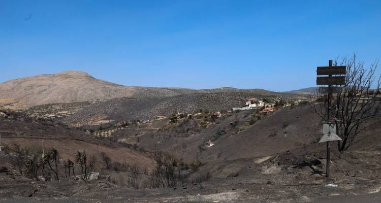 Κερατέα: Άρχισαν οι αιτήσεις αποζημιώσεων για ζημιές σε φυτική παραγωγή από τη φωτιά -Η διαδικασία