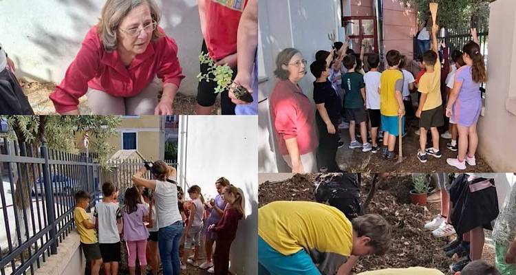 &Mu;&alpha;&theta;&eta;&tau;&iota;&kappa;ή &delta;&rho;ά&sigma;&eta; &delta;&epsilon;&nu;&delta;&rho;&omicron;&phi;ύ&tau;&epsilon;&upsilon;&sigma;&eta;&sigmaf; &sigma;&tau;&omicron; 2&omicron; &Delta;&eta;&mu;&omicron;&tau;&iota;&kappa;ό &Sigma;&chi;&omicron;&lambda;&epsilon;ί&omicron; &Mu;ύ&rho;&iota;&nu;&alpha;&sigmaf;